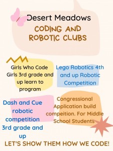 coding and Robotic Clubs