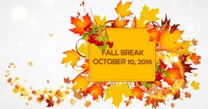 fall_break_mmr