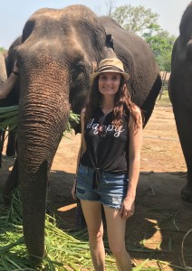 Visiting elephants in Thailand